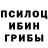 Галлюциногенные грибы GOLDEN TEACHER Diana Izyurova