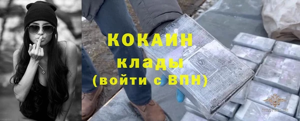 МДПВ Михайлов