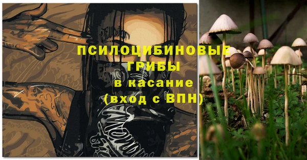 МДПВ Михайлов