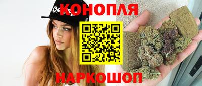 индика Лесосибирск