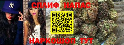 стаф Кунгур