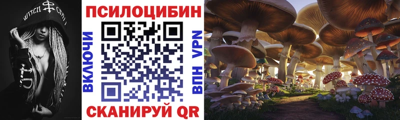 Галлюциногенные грибы GOLDEN TEACHER  Рузаевка 