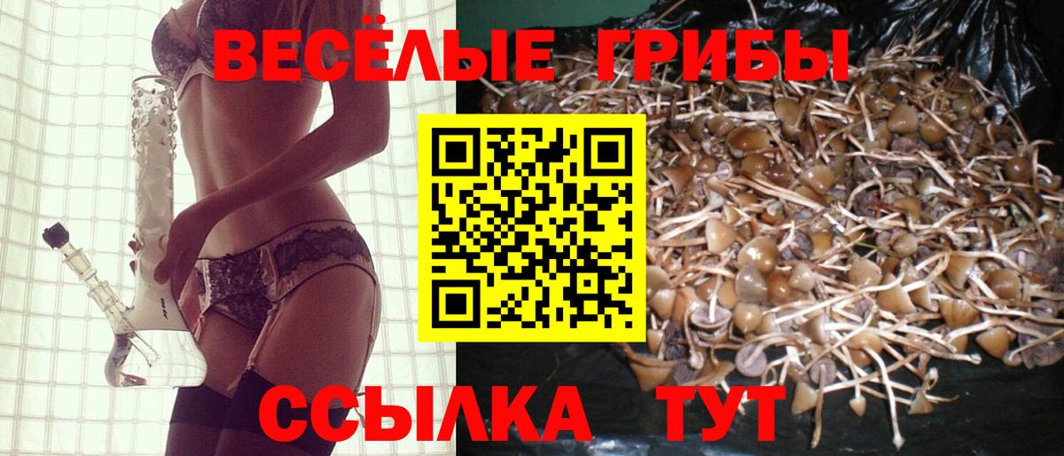 Рузаевка  Псилоцибиновые грибы MAGIC MUSHROOMS  Псилоцибиновые грибы MAGIC MUSHROOMS  Вход с VPN 